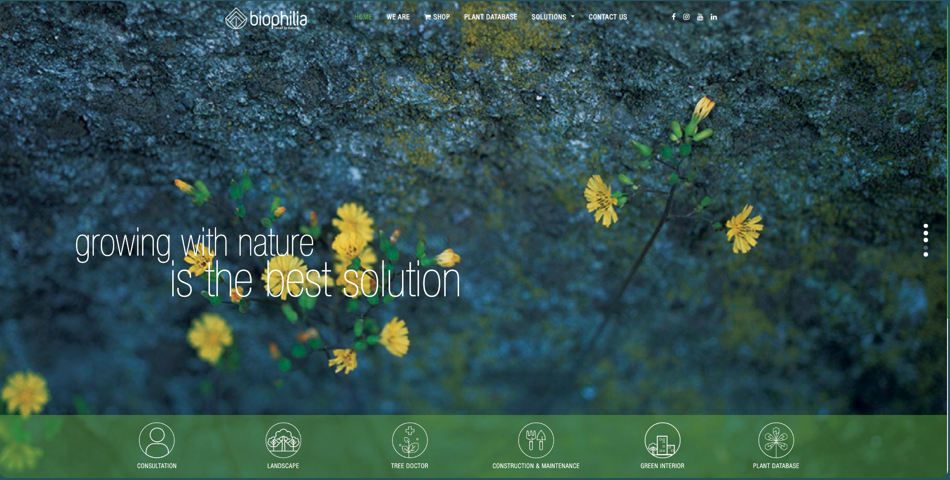 Biophilia